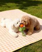 Super Mini Pumpkin Rope Toy for Small & Teething Dogs (Single)