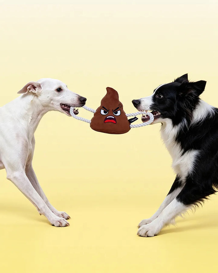 🔥New Arrivals🔥Poopy Face Squeaky Tug & Rope Dog Toy