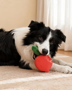 🔥New Arrival 50% OFF🔥Super Carrot Chew Toy for Medium & Large Dogs