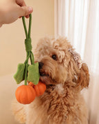 🔥New Arrival 50% OFF🔥Super Mini Pumpkin Rope Toy for Small & Teething Dogs