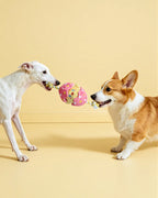 🔥New Arrival🔥Hatching Chick Tug & Squeaky Plush Dog Toy