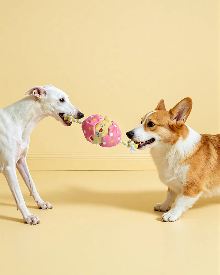 🔥New Arrival🔥Hatching Chick Tug & Squeaky Plush Dog Toy