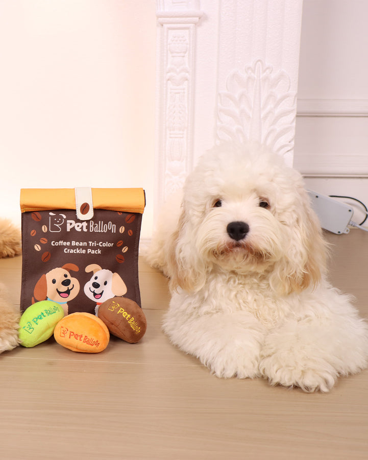 🔥New Year 50% OFF🔥Coffee Bean Toy Set