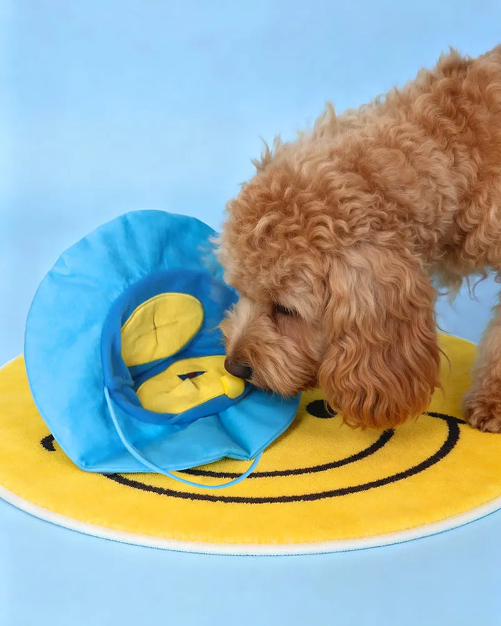 Treat-Hiding Wizard Hat Snuffle Dog Toy