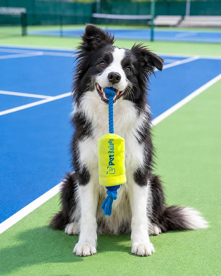 🔥New Arrivals🔥Tennis Ball Duo Tug & Fetch Dog Toy