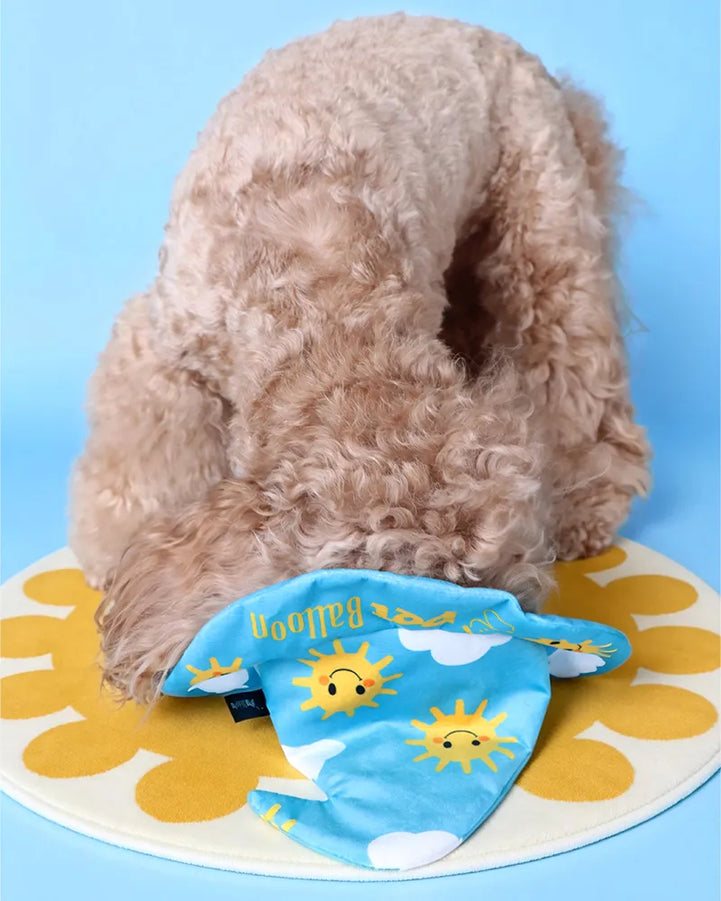 Treat-Hiding Wizard Hat Snuffle Dog Toy