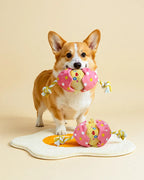 🔥New Arrival🔥Hatching Chick Tug & Squeaky Plush Dog Toy