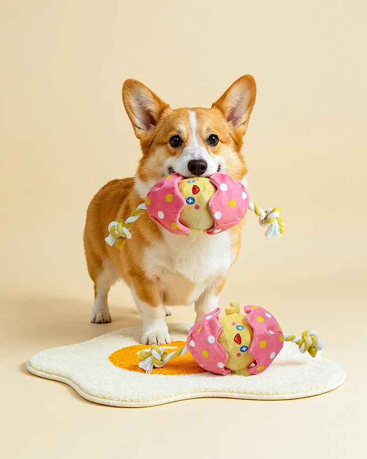 🔥New Arrival🔥Hatching Chick Tug & Squeaky Plush Dog Toy