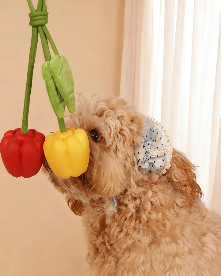🔥New Arrival 50% OFF🔥Super Mini Bell Pepper Rope Toy for Small & Teething Dogs