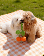 🔥New Arrival 50% OFF🔥Super Mini Pumpkin Rope Toy for Small & Teething Dogs