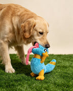 🔥New Arrival🔥Creaming Lizard Snuffle & Squeaky Plush Dog Toy