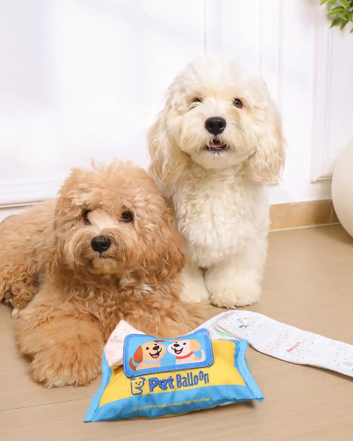 🔥New Year 50% OFF🔥Wet Wipes Sniffing Toy for Dogs — Train Calm, Focused Play