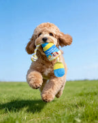 🔥New Arrivals🔥Pup Potion Squeaky Tug Rope Dog Toy