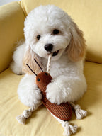 🔥New Arrival🔥Cockroach Rope Dog Toy for Small to Medium Dogs - Tug, Fetch & Chew Fun