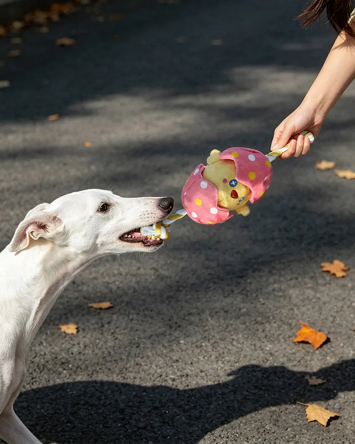 🔥New Arrival🔥Hatching Chick Tug & Squeaky Plush Dog Toy