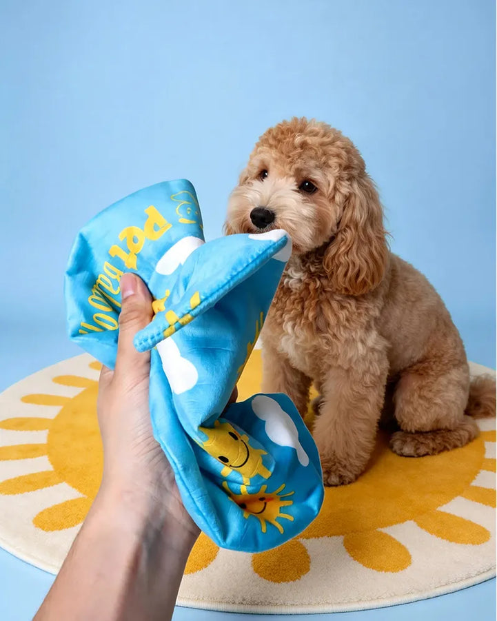 Treat-Hiding Wizard Hat Snuffle Dog Toy