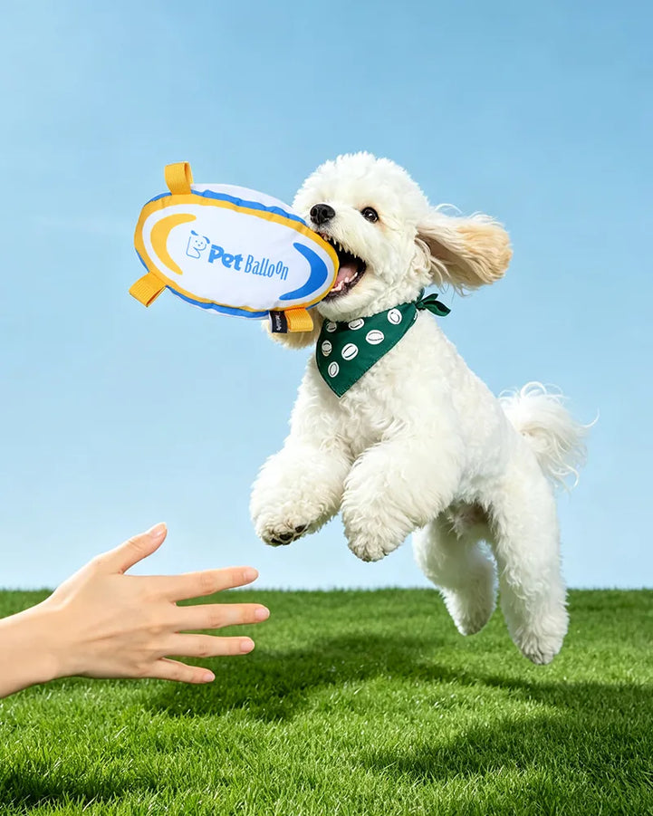 🔥New Arrival🔥Football-Shaped Outdoor Crinkle Tug & Fetch Dog Toy