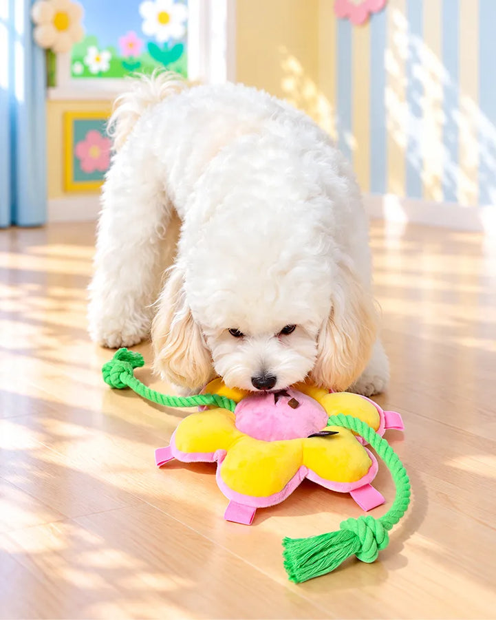 🔥New Arrivals🔥Sunflower Squeaky Tug & Fetch Dog Toy