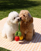 🔥New Arrival 50% OFF🔥Super Mini Bell Pepper Rope Toy for Small & Teething Dogs