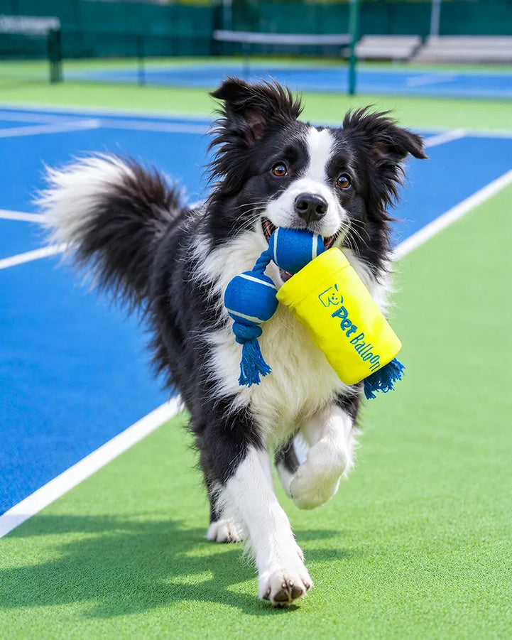🔥New Arrivals🔥Tennis Ball Duo Tug & Fetch Dog Toy