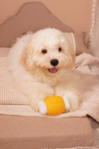 ComfortBone – Interactive Voice & Chew Companion for Small Dogs