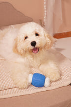 ComfortBone – Interactive Voice & Chew Companion for Small Dogs