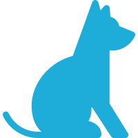 Large Dog