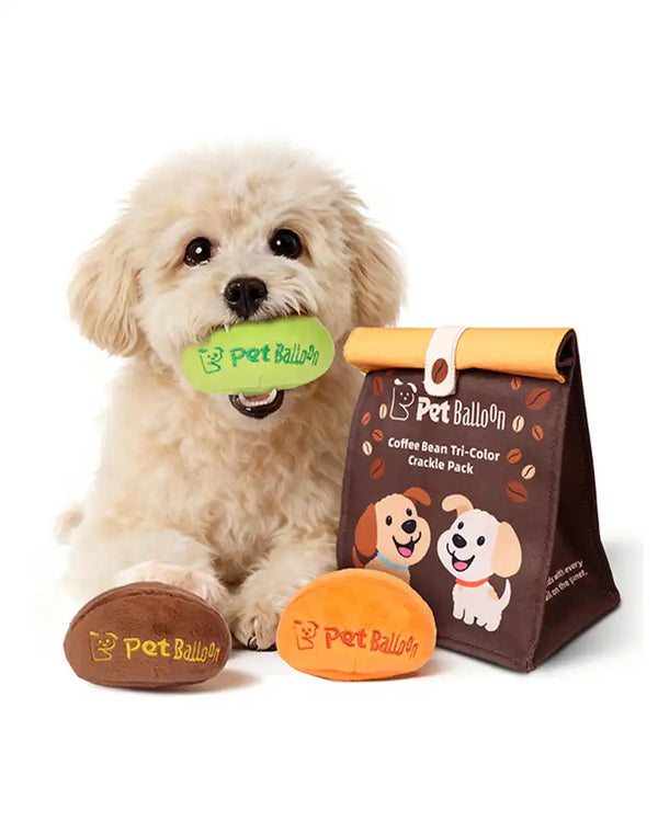 Coffee Bean Sniffing Toy Set