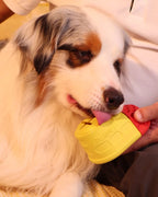 🎉Buy 1 Get 3🎉ComfortShoe – Interactive Voice & Chew Companion for Medium & Large Dogs