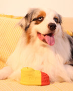 🎉Buy 1 Get 3🎉ComfortShoe – Interactive Voice & Chew Companion for Medium & Large Dogs