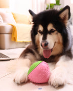 🎉Buy 1 Get 3🎉ComfortBerry – Voice Replay & Chew Companion for Medium & Large Dogs