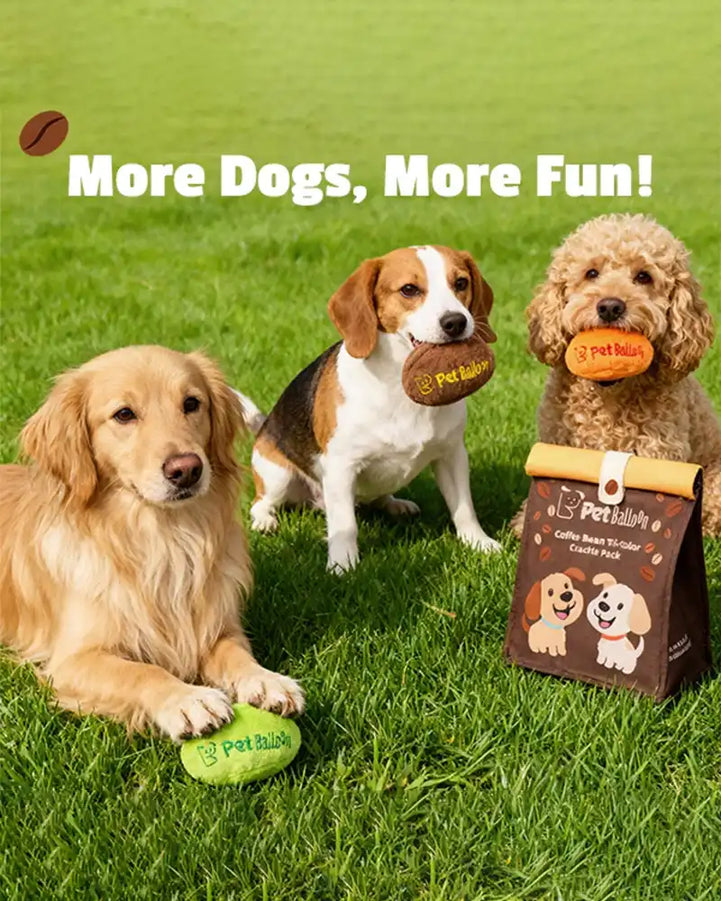 🔥New Year 50% OFF🔥Coffee Bean Toy Set