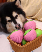 🎉Buy 1 Get 3🎉ComfortBerry – Voice Replay & Chew Companion for Medium & Large Dogs