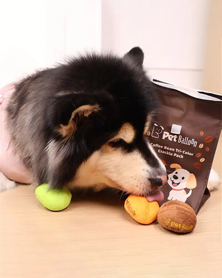 🔥New Year 50% OFF🔥Coffee Bean Toy Set