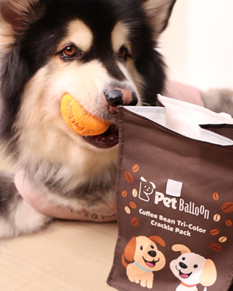 🔥Black Friday 50% OFF🔥Coffee Bean Toy Set