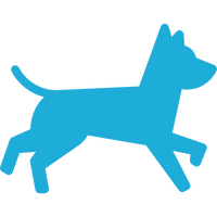 Medium Dog
