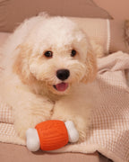 ComfortBone – Interactive Voice & Chew Companion for Small Dogs