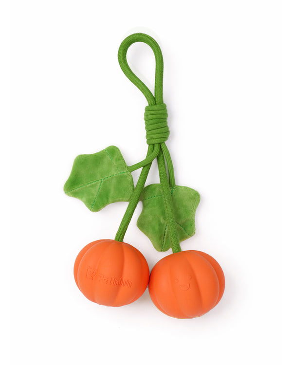 Super Mini Pumpkin Rope Toy for Small & Teething Dogs