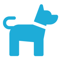 Small Dog